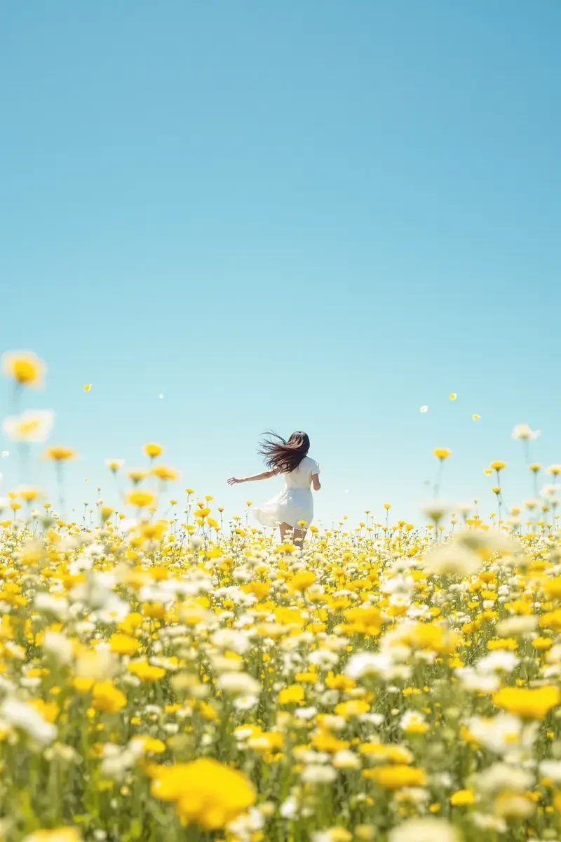 花海追风